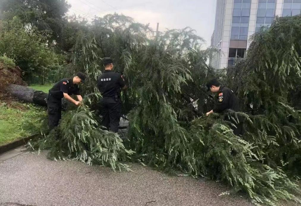 C:/Users/BA/Desktop/風(fēng)雨過(guò)后南京保安迅速行動(dòng)，恢復(fù)安“寧”面貌/1.jpg1