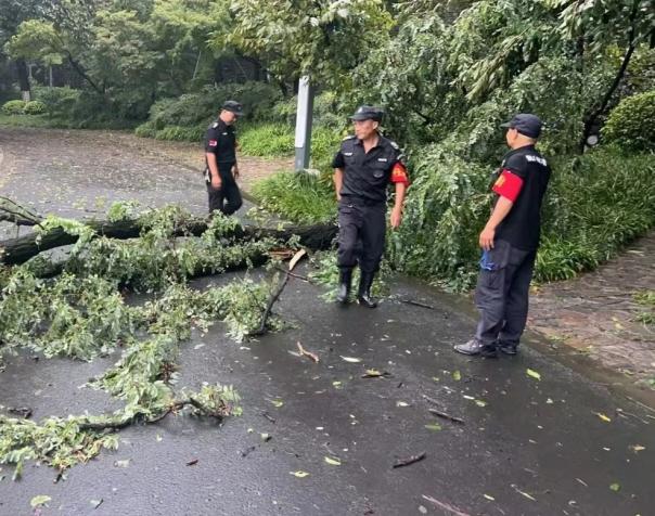 C:/Users/BA/Desktop/風(fēng)雨過(guò)后南京保安迅速行動(dòng)，恢復(fù)安“寧”面貌/7.jpg7